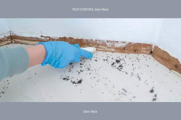 PEST CONTROL Glen Rock